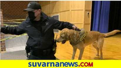 ಶಾಲೆಗಳಲ್ಲಿ ಕೋವಿಡ್‌ ಪ್ರಕರಣಗಳ ಪತ್ತೆಗೆ ಶ್ವಾನಗಳ ಬಳಕೆ