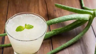 ശരിക്കും കറ്റാര്വാഴ ജ്യൂസ് എങ്ങനെയാണ് തയ്യാറാക്കേണ്ടത്? അറിയാം ഇതിന്റെ ഉപയോഗങ്ങളും