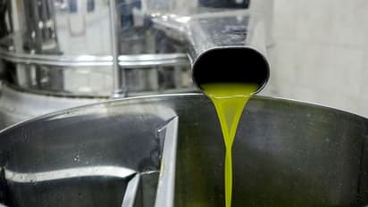 ঘরোয়া রিফাইনিং তেলের ব্যবসার ক্ষতি, কেন্দ্রের কাছে পাম তেলের আমদানির ওপর নিষেধাজ্ঞা জারির আর্জি SEA-র