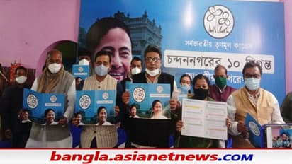 তৃণমূল ক্ষমতায় ফিরলে কীভাবে নতুন রূপে সেজে উঠবে চন্দননগর, নয়া রূপরেখা বিধায়ক ইন্দ্রনীলের