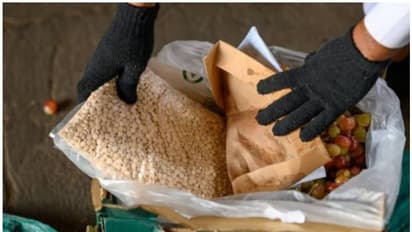 Drug smuggling: സൗദി അറേബ്യയിലേക്ക് കടത്താന് ശ്രമിച്ച വന് മയക്കുമരുന്ന് ശേഖരം പിടികൂടി