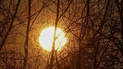 সূর্যের অবস্থানের ওপর নির্ভর করে কাজের সফলতা, দেখুন সারা দিনে কোন কাজের জন্য কোন সময়টি শুভ