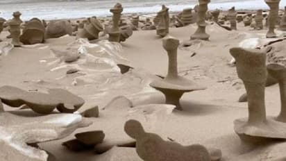 Frozen Sand : തടാകതീരത്ത് മണലിൽ പൊടുന്നനെ ചില നിഗൂഢരൂപങ്ങൾ, വൈറലായി ചിത്രങ്ങൾ