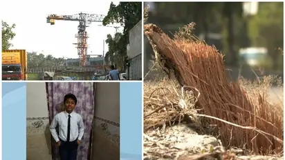 തെങ്ങ് വീണുള്ള അപകടങ്ങൾ തുടർക്കഥ; മുംബൈയിൽ മലയാളി വിദ്യാർഥിക്ക് ദാരുണാന്ത്യം