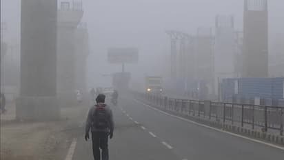 Weather News : अभी सर्दी से राहत नहीं, दिल्‍ली, यूपी समेत इन राज्‍यों में अगले चार दिन तक रहेगा घना कोहरा