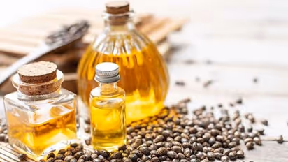 Castor oil for Hair care: അകാലനരയും താരനും അകറ്റാന്‍ ആവണക്കെണ്ണ ഇങ്ങനെ ഉപയോഗിക്കാം...