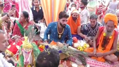 एक विवाह ऐसा भी :  बछड़े-बछिया की शादी, नाचते-गाते पहुंचे बाराती, मंडप सजा, मंत्रोचार हुआ, मंगल गीत गाए गए