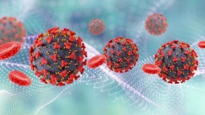 Omicron in community transmission stage in India, dominant in metros: INSACOG