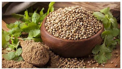 গরমে পেট খারাপ ও ডিহাইড্রেশন রোধ করে রান্নাঘরে থাকা এই উপাদান, জেনে নিন কিভাবে কাজে লাগাবেন