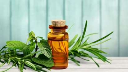 Aloe Vera to baking soda: 5 home remedies you can try to get rid of dandruff