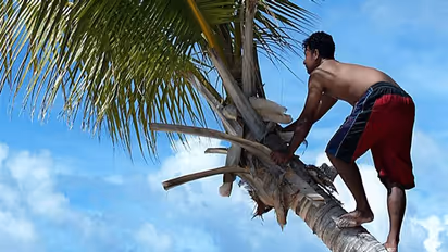 Life Management: एक वृद्ध लोगों को पेड़ पर चढ़ना सीखाता था, उसने अपने छात्रों की परीक्षा ली और बताई सबसे खास बात