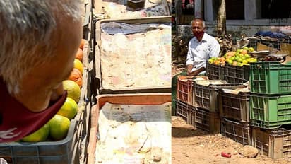 ആപ്പിളും മുന്തിരിയും മാതളവും തണ്ണിമത്തനുമൊന്നും വേണ്ട ; വൃദ്ധ ദമ്പതികളുടെ വയറ്റത്തടിച്ച് ഓറഞ്ച് കള്ളൻ