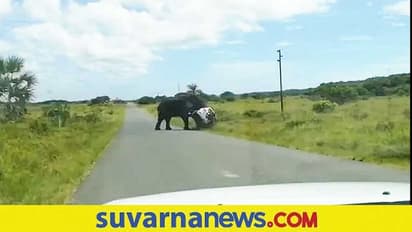 ಆನೆಯ ಕೋಪಕ್ಕೆ ಆಹುತಿಯಾದ ಕಾರು... ಭಯಾನಕ ವಿಡಿಯೋ