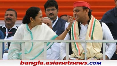 UP Elections 2022: এবার উত্তরপ্রদেশে প্রচারে মমতা, অখিলেশের সঙ্গে করবেন ভার্চুয়াল সভা