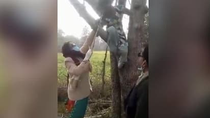 Covid Vaccine : വാക്സിനെടുക്കാന് പേടി, മരത്തില് കയറി പെണ്കുട്ടി; വീഡിയോ