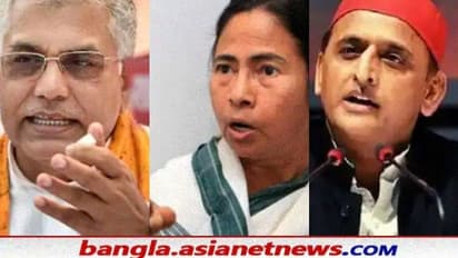 'গোয়া-উত্তরপ্রদেশে পার্টিটাই শুরুই করতে পারল না', ৫ রাজ্যের ভোটের আগে তৃণমূলকে তোপ দিলীপের