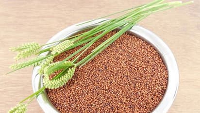 మధుమేహన్నీ తరిమికొట్టే రాగులు.. ఈ చిట్కాలు పాటిస్తే కొన్ని రోజుల్లోనే అద్భుత ఫలితం?