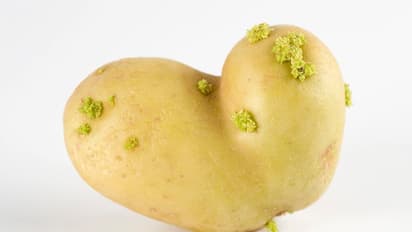 সাবধান, এই ধরণের আলু খেলে হতে পারে মারাত্মক সমস্যা, জেনে নিন বিশেষজ্ঞদের মত