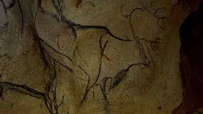 Chauvet Cave:  ചൗവെറ്റ് ഗുഹയിലെ കുതിരയുടെ ചിത്രങ്ങള്‍ക്ക് 30,000 വർഷങ്ങളുടെ പഴക്കം