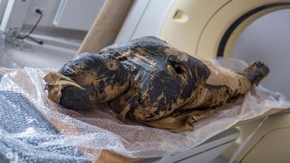 मिस्र में वैज्ञानिकों को पहली बार मिली अनोखी Mummy, जिसे समझ रहे थे पुरूष, वह निकली प्रेगनेंट महिला