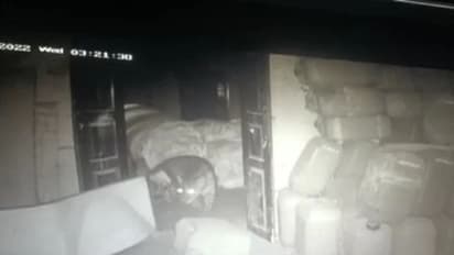 டிமிக்கி கொடுக்கும் சிறுத்தை.. பிடிக்க போராடும் வனத்துறை.. புதிய சிசிடிவி வெளியீடு..