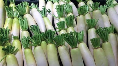 முள்ளங்கியை எப்படி சாப்பிடணும் தெரியுமா? இந்த மாதிரி 1 தடவை சாப்பிடுங்க..! கேஸ், செரிமான பிரச்சனையே வராது.. 