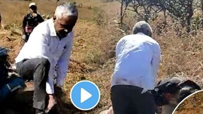 గర్భిణీ అనే కనికరం లేకుండా.. మహిళా ఫారెస్ట్ గార్డ్ పై దాడి..!