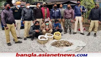 জলপাইগুড়িতে ৪৭ কেজি ওজনের প্যাঙ্গোলিনের আঁশ উদ্ধার করল বন দফতর, ধৃত পঞ্জাব ও হরিয়ানার বাসিন্দা