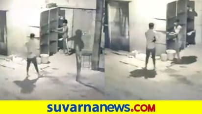 Davanagere: 6 ಫೈಟರ್ ಕೋಳಿ ಕದ್ದೊಯ್ದ ಕಳ್ಳರು: ಕೈಚಳಕ ಸಿಸಿಟಿವಿಯಲ್ಲಿ ಸೆರೆ