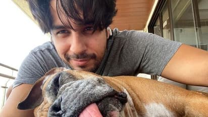 After Shilpa Shetty, Sidharth Malhotra loses his beloved partner; read his heartbreaking note