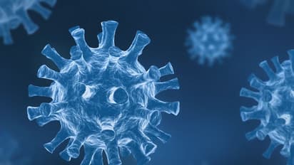 Covid 19 : ആശങ്കയോടെ വടക്കന് കേരളം: രോഗികളുടെ എണ്ണം കൂടുന്നു, കൂടുതല് ആരോഗ്യപ്രവര്ത്തകര്ക്കും രോഗം