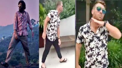WATCH: David Warner performs hook step to 'Srivalli' song from 'Pushpa', netizens go bonkers