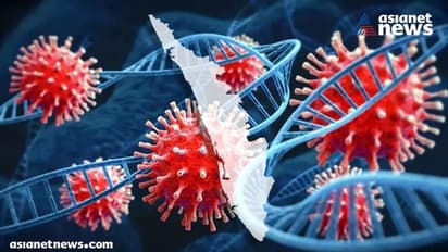 Covid Kerala : അതിതീവ്ര വ്യാപനം,തലസ്ഥാനം സി കാറ്റഗറിയിൽ, ആദ്യ ജില്ല; കടുത്ത നിയന്ത്രണം, തീയറ്ററടക്കം അടച്ചിടും