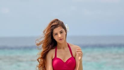 யம்மாடியோ..டூ பீஸில் வேதிகா..கடற்கரை கவர்ச்சியில் இளசுகள் மனசை இம்சிக்கிறாரே..