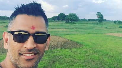 In Pictures: MS Dhoni flourishes mustard crop at his Ranchi farmhouse