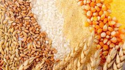 చిరుధాన్యాలతో మీ పిల్లలకు హెల్తీ స్నాక్.. ఎలా చెయ్యాలంటే?