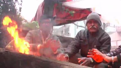 Weather Forecast : दिल्ली सहित उत्तर भारत में पड़ रही कड़ाके की ठंड. इन राज्यों में हो सकती है बारिश