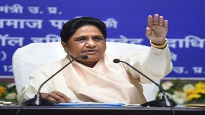 Inside Story: सगे रिश्तेदारों को टिकट मिलने के बाद बसपा बदल सकती है प्रत्याशी! समझिए पूरा चुनावी समीकरण