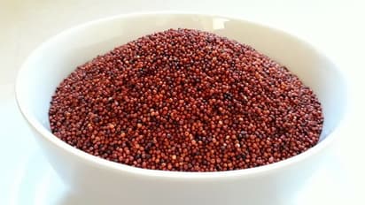   ಅಲ್ಪಾವಧಿಯಲ್ಲಿ ಅಧಿಕ ಇಳುವರಿ ನೀಡುವ ಕೆಎಮ್‌ಆರ್‌ - 630  ತಳಿ