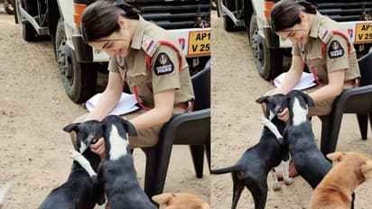 Trisha: క్యూట్ పెట్స్ తో త్రిష.. పోలీస్ డ్రెస్లో అదరగొడుతుందిగా.. ఫోటో వైరల్