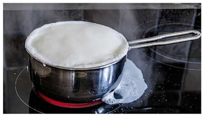 রকমারি মিষ্টি থেকে চিজ তৈরিতে কেটে যাওয়া দুধের জুড়ি মেলা ভার