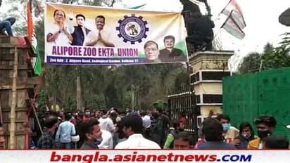 চিড়িয়াখানার কর্মী সংগঠন দখল করল তৃণমূল, বিজেপির সঙ্গে সংঘর্ষে জড়িয়ে উত্তাল আলিপুর