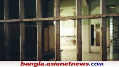 Custodial Death in UP: পুলিশি নির্যাতনে প্রাণ গেল কিশোরের, যোগী রাজ্যে ফের 'হেফাজতে মৃত্যু'