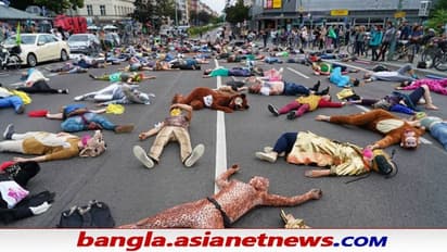 Mass Extinction on Earth: ষষ্ঠবার গণ-বিলুপ্তির পথে পৃথিবী, শেষ হতে চলেছে গোটা জীবজগৎ