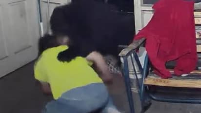 തന്റെ നായകളെ രക്ഷിക്കാൻ കരടിയുമായി ഉടമയുടെ പോര്, വൈറലായി വീഡിയോ