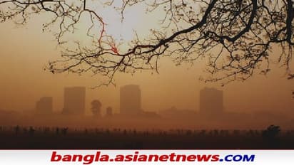 WB Weather: কুয়াশার চাদরে শুরু হল সকাল, এদিনও কি চলবে বৃষ্টি