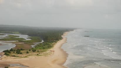 Sydney beaches closed for public after fatal shark attack, first in 60 years