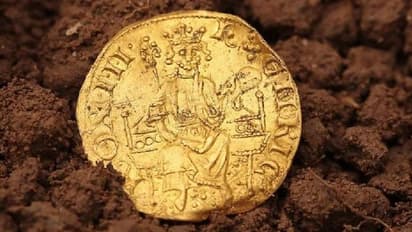 King Henry III coin : വയലിൽ കിടന്നിരുന്നൊരു സ്വർണനാണയം, വിറ്റത് നാലുകോടിക്ക്!