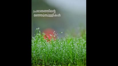 Delhi winter: ദില്ലിയിലെ തെരുവുകളില്‍ തണുപ്പ് തീ കായുമ്പോള്‍...