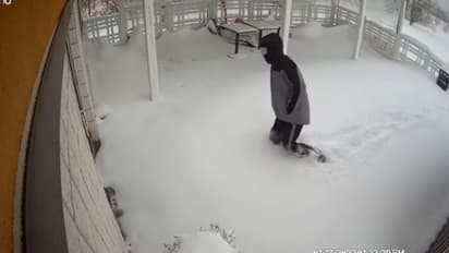 Viral Video : സോഷ്യല്‍ മീഡിയയില്‍ വൈറലായി റെസ്‌റ്റോറന്റിലെ സിസിടിവി ദൃശ്യം